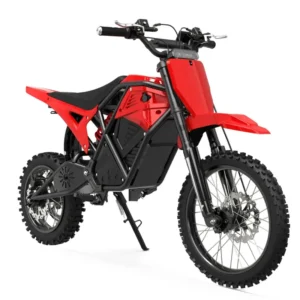ESKUTE Electric Bike